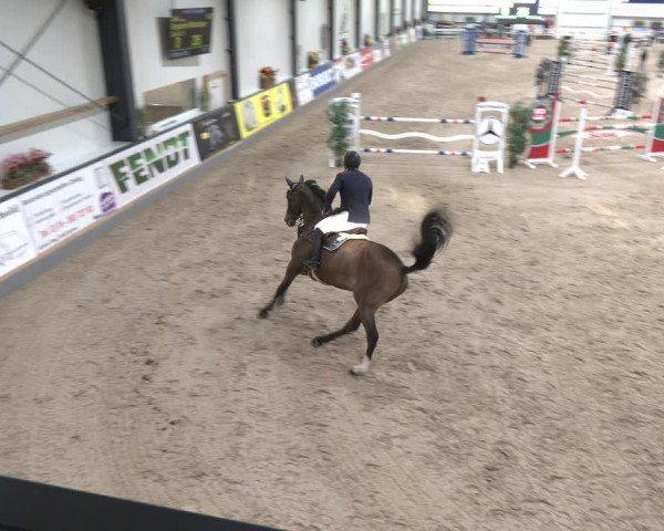 Reitturnier Borken 2024