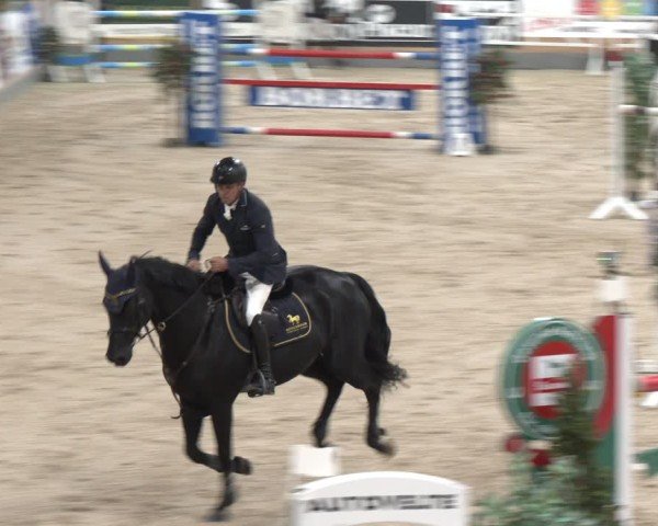 Reitturnier Borken 2024