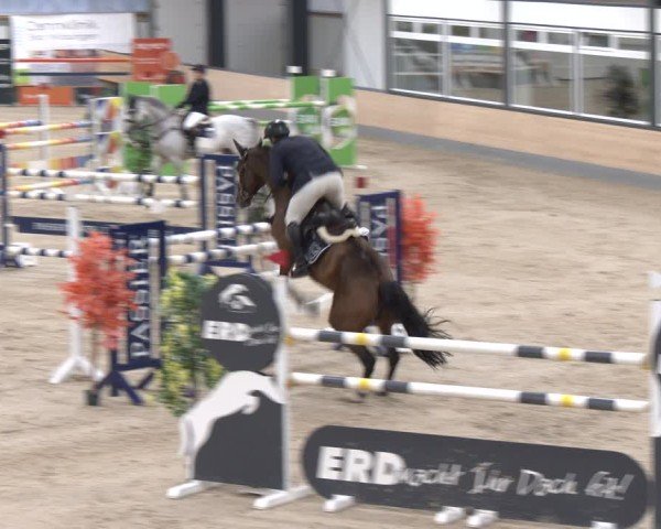 Reitturnier Borken 2024