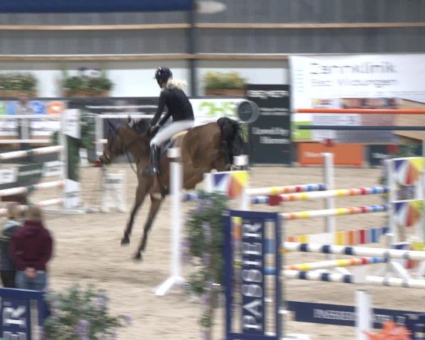 Reitturnier Borken 2024