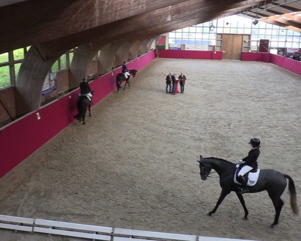 Reitturnier Krumke 2024
