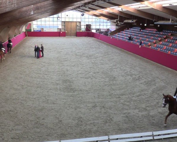 Reitturnier Krumke 2024