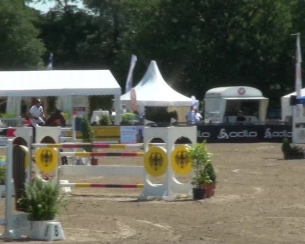 60. Lobbericher Reitsportfestival 01.-04.08.2013