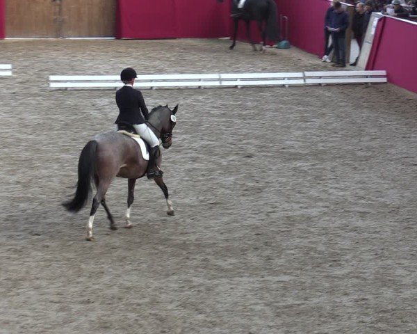 Reitturnier Krumke 2024