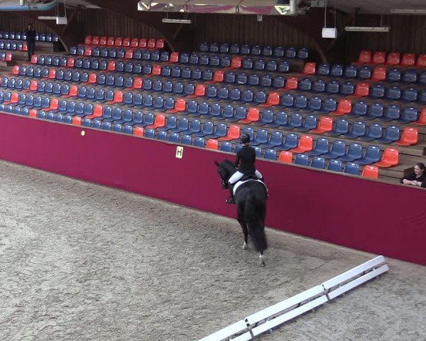 Reitturnier Krumke 2024