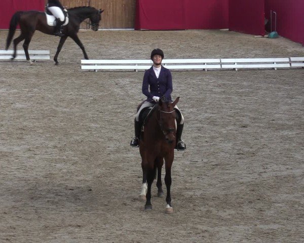 Reitturnier Krumke 2024