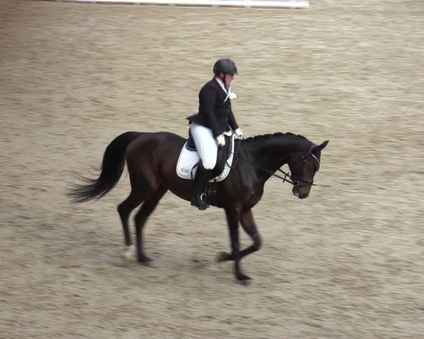 Reitturnier Krumke 2024