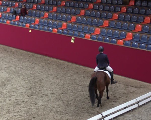 Reitturnier Krumke 2024