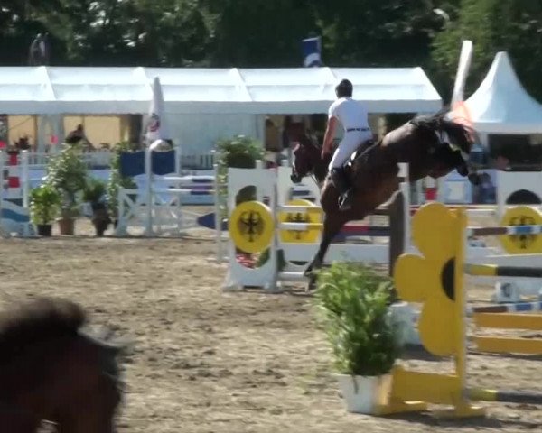 60. Lobbericher Reitsportfestival 01.-04.08.2013