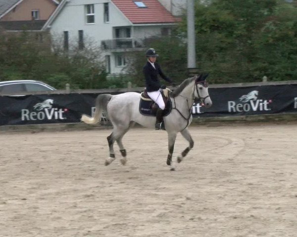 Pferdesporttage Neuendorf SO 2021