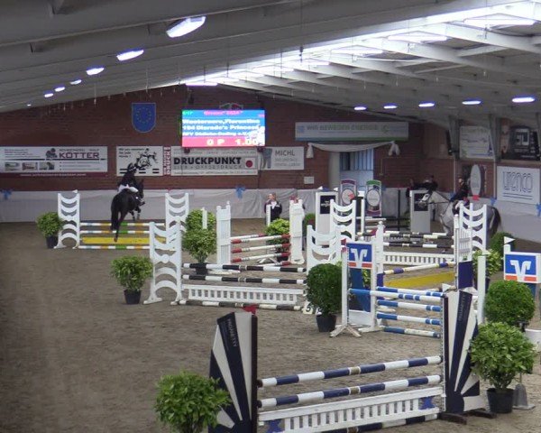 Reitturnier Gronau 2024