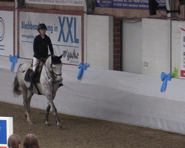 Reitturnier Gronau 2024