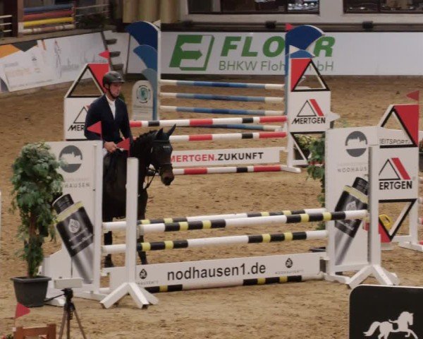 Reitturnier Neuwied 2024