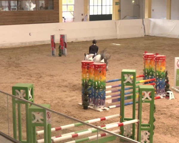 Reitturnier Stadl-Paura 2024