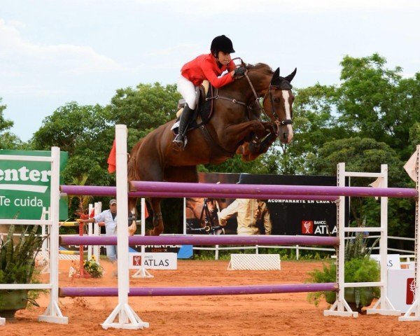 jumper Jota Erre Charming (unknown, 2004, from Chester Z)