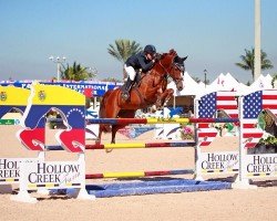 broodmare Surprise 157 (Holsteiner, 2002, from Calido I)