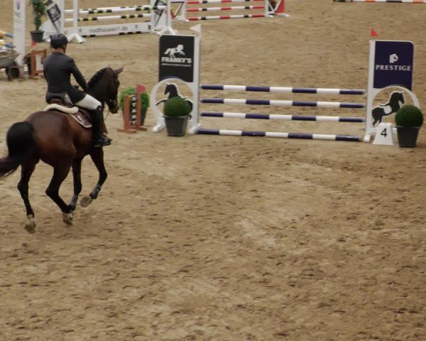 Reitturnier Neuwied 2024