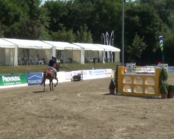60. Lobbericher Reitsportfestival 01.-04.08.2013