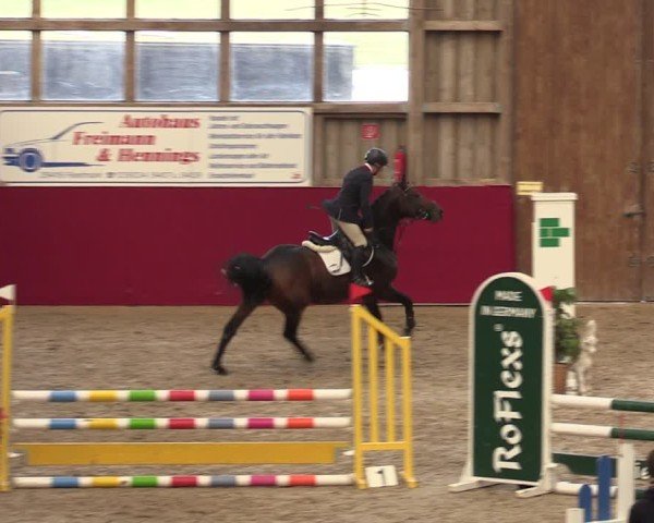 Reitturnier Krumke 2024