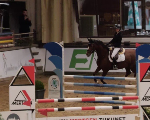 Reitturnier Neuwied 2024