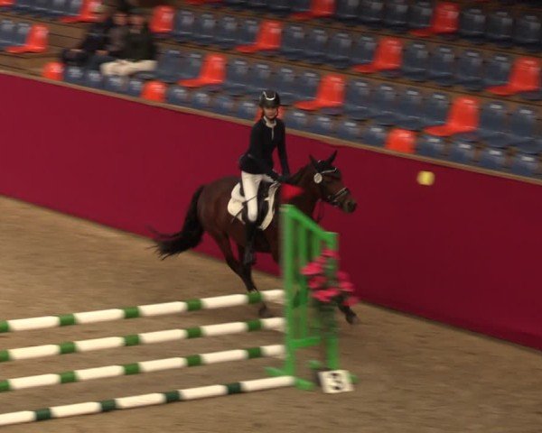 Reitturnier Krumke 2024