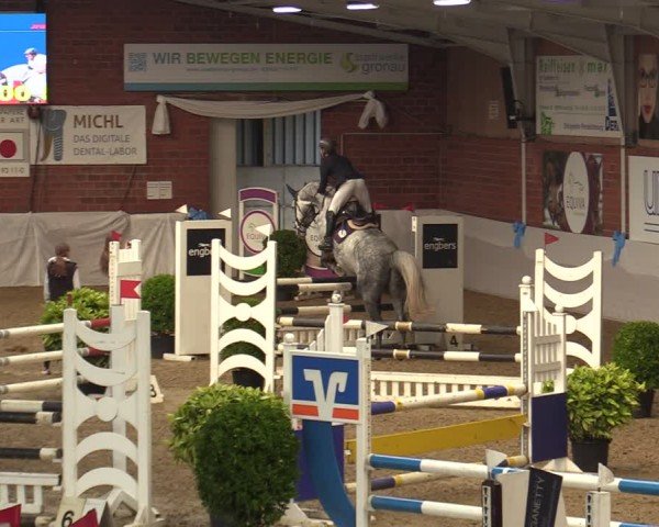 Reitturnier Gronau 2024