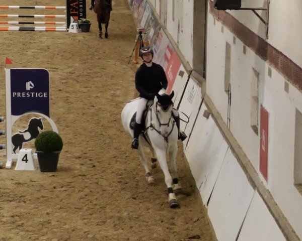 Reitturnier Neuwied 2024