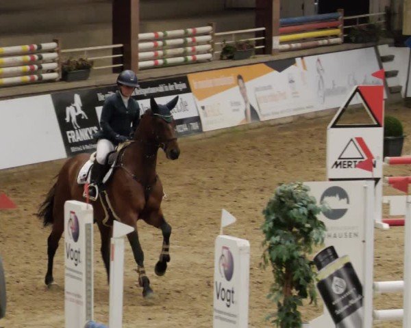 Reitturnier Neuwied 2024