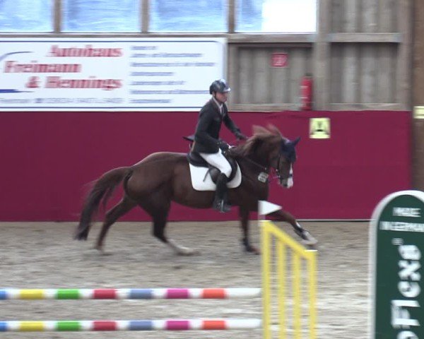 Reitturnier Krumke 2024