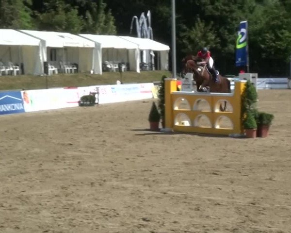 60. Lobbericher Reitsportfestival 01.-04.08.2013
