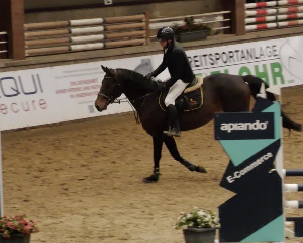 Rideturnering Neuwied 2024