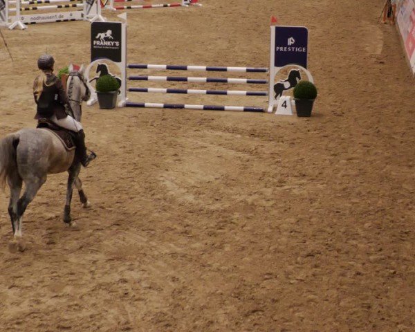 Reitturnier Neuwied 2024