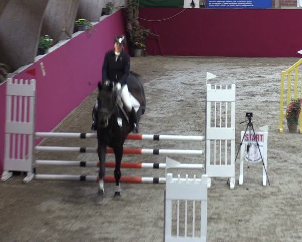 Reitturnier Krumke 2024