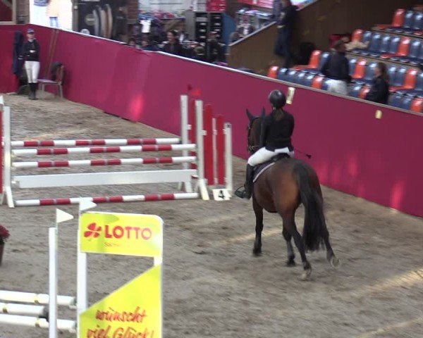 Reitturnier Krumke 2024
