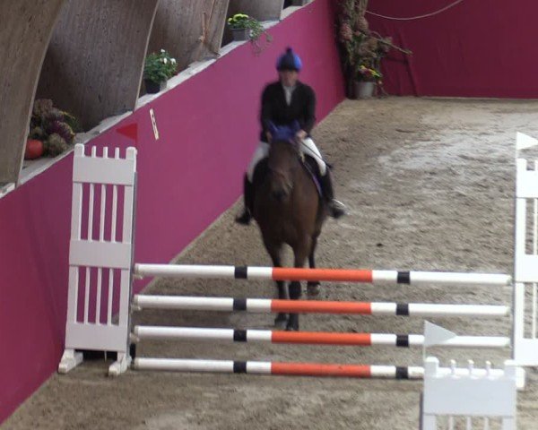 Reitturnier Krumke 2024