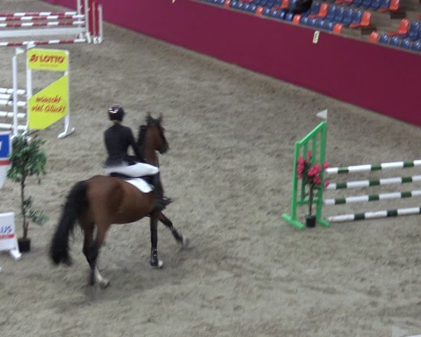 Reitturnier Krumke 2024