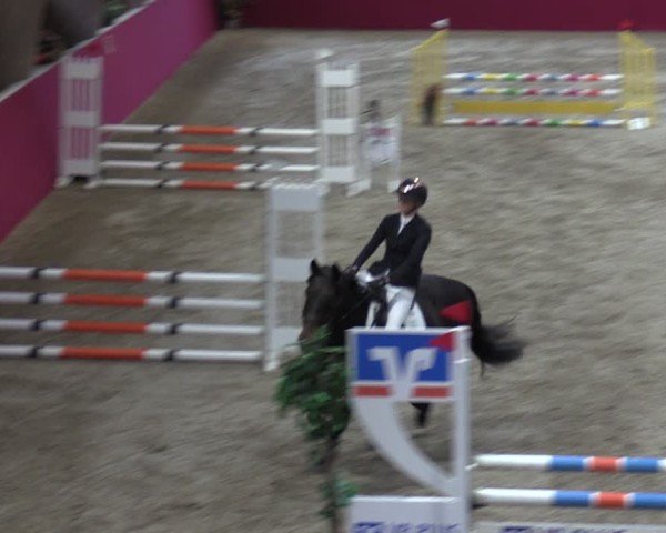 Reitturnier Krumke 2024