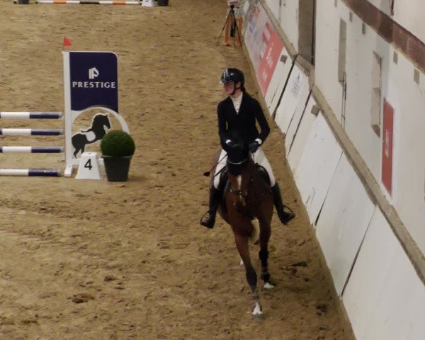 Reitturnier Neuwied 2024