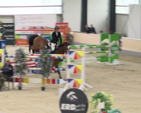 Reitturnier Borken 2024