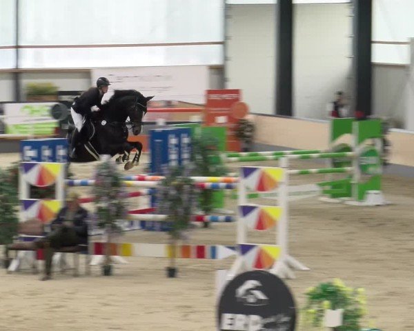 Reitturnier Borken 2024