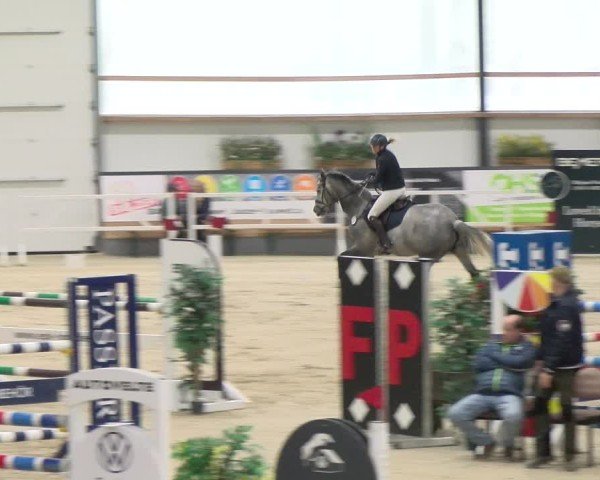 Reitturnier Borken 2024