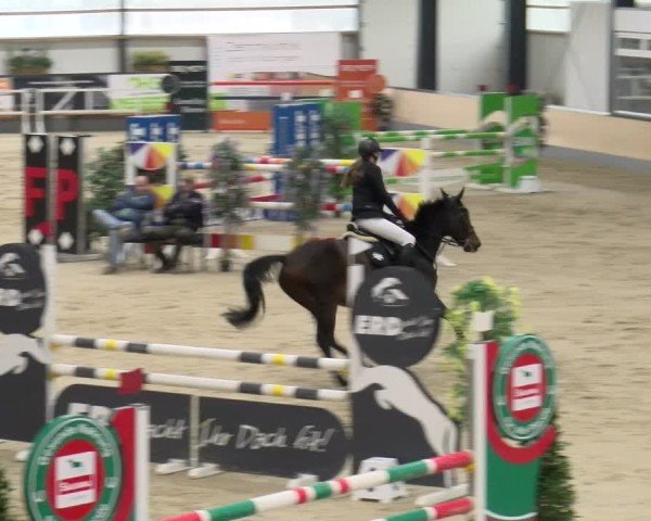 Reitturnier Borken 2024