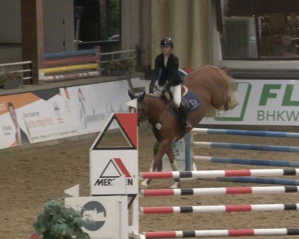 Reitturnier Neuwied 2024