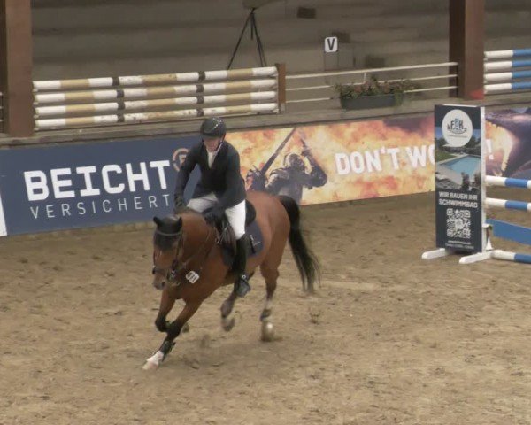 Reitturnier Neuwied 2024