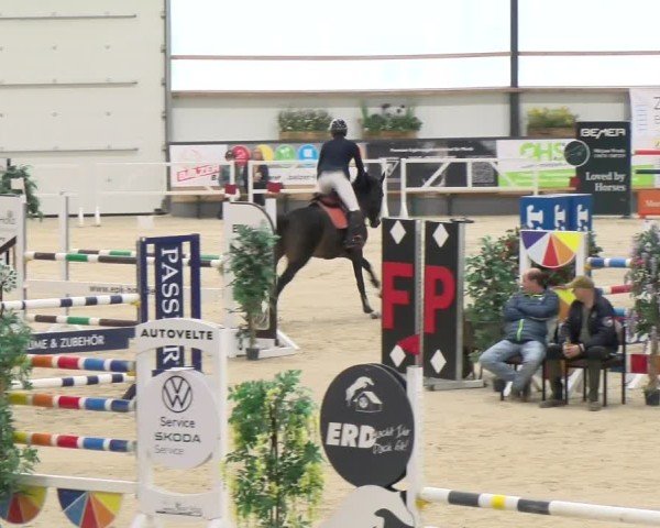 Reitturnier Borken 2024