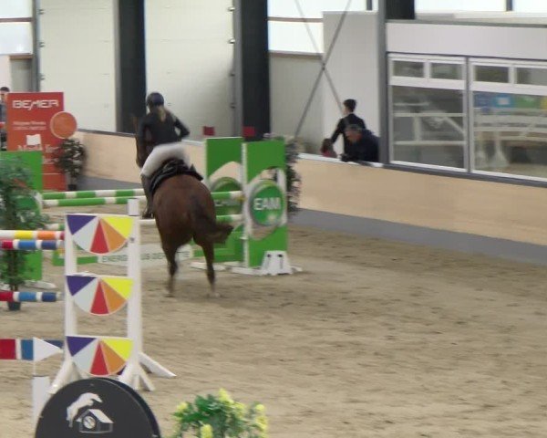 Reitturnier Borken 2024