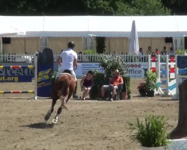 60. Lobbericher Reitsportfestival 01.-04.08.2013