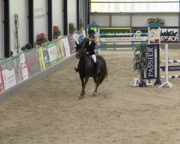 Reitturnier Borken 2024