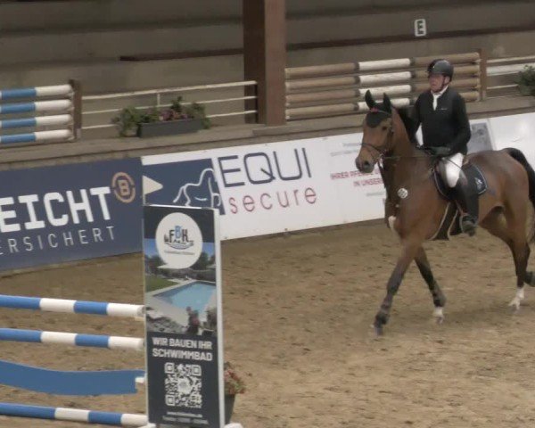 Reitturnier Neuwied 2024