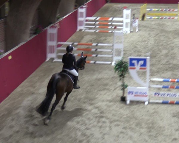 Reitturnier Krumke 2024